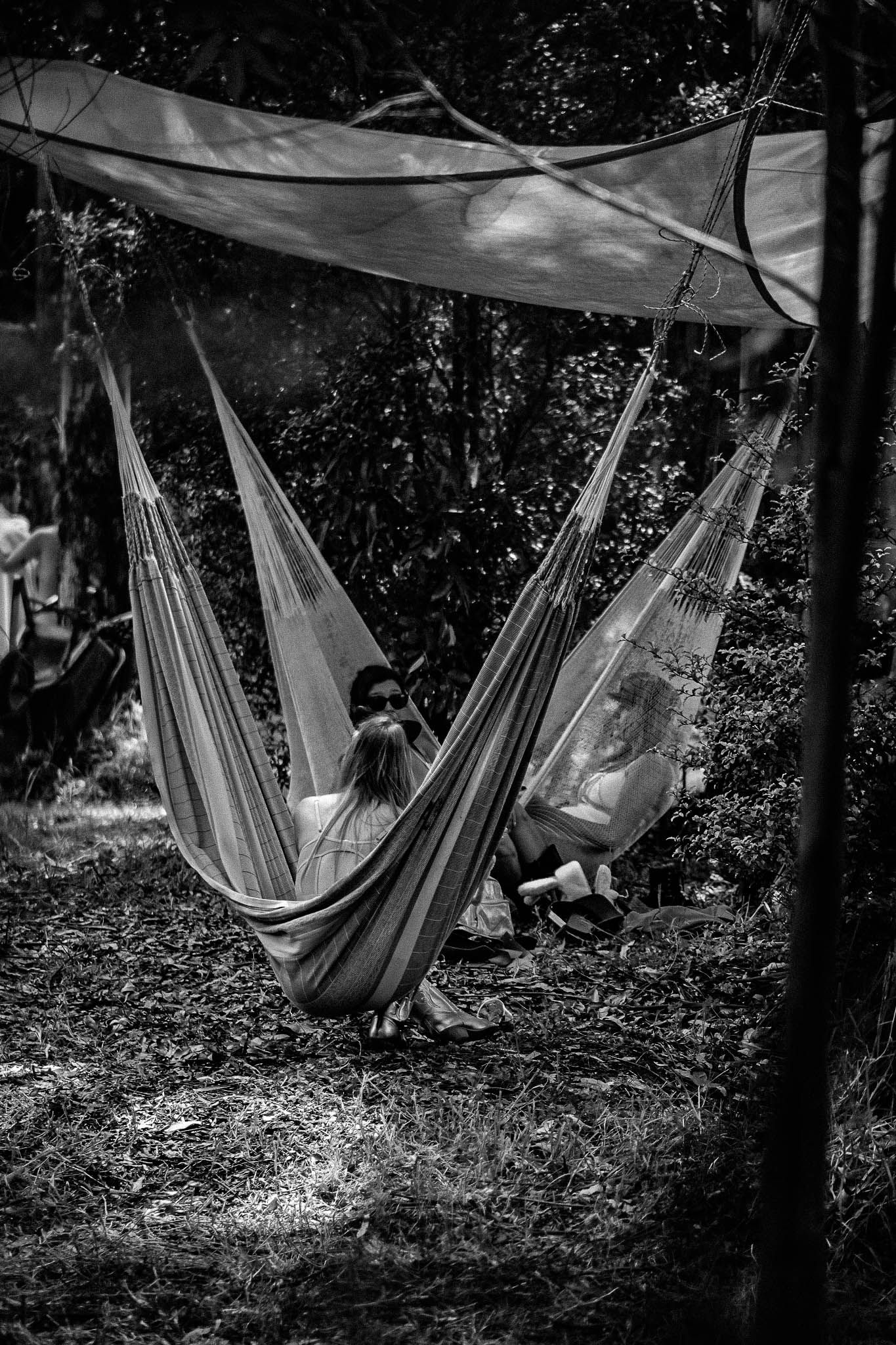 Naked In The Trees — A festival of curiosity in Taumarunui NZ