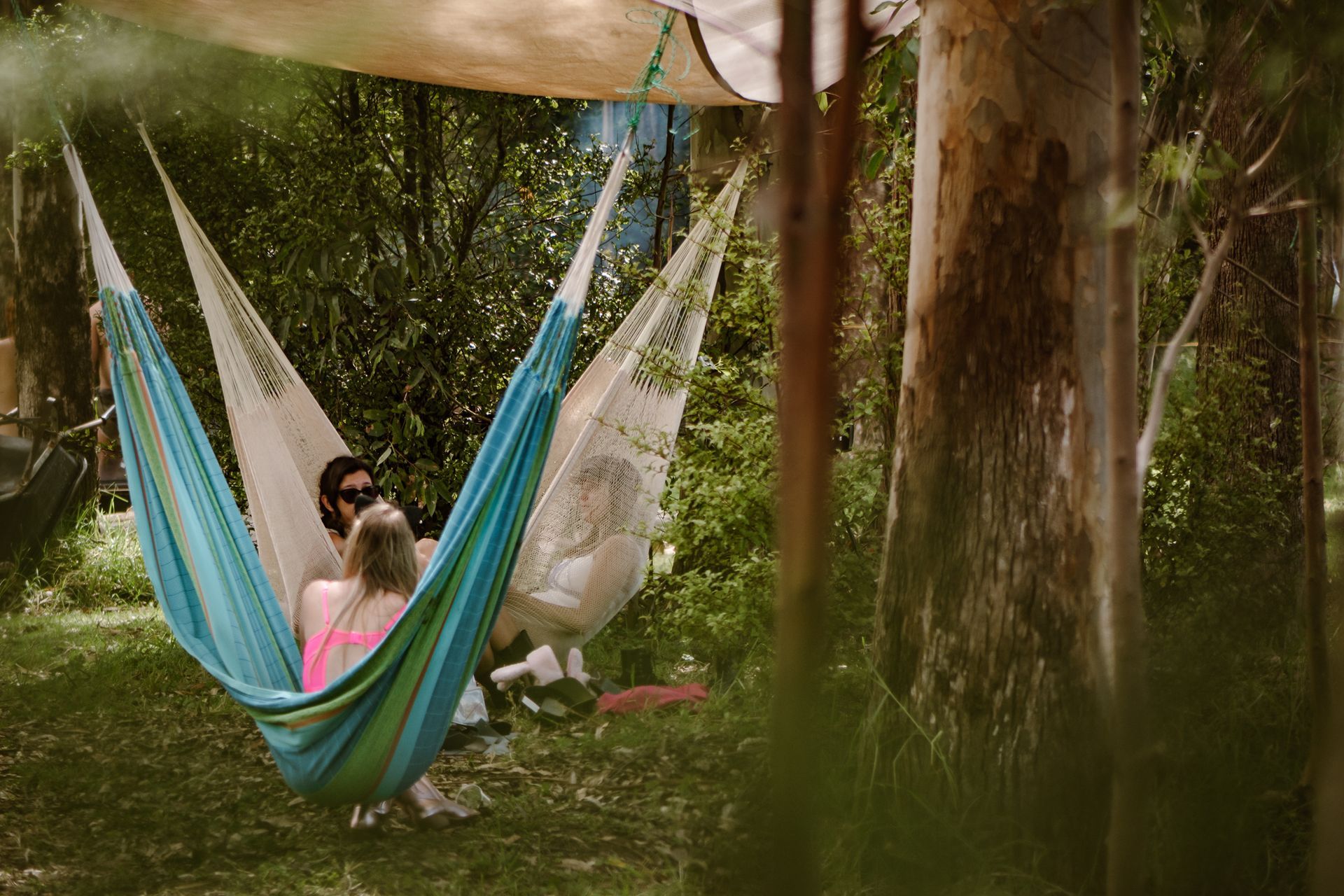 Naked In The Trees — A festival of curiosity in Taumarunui NZ