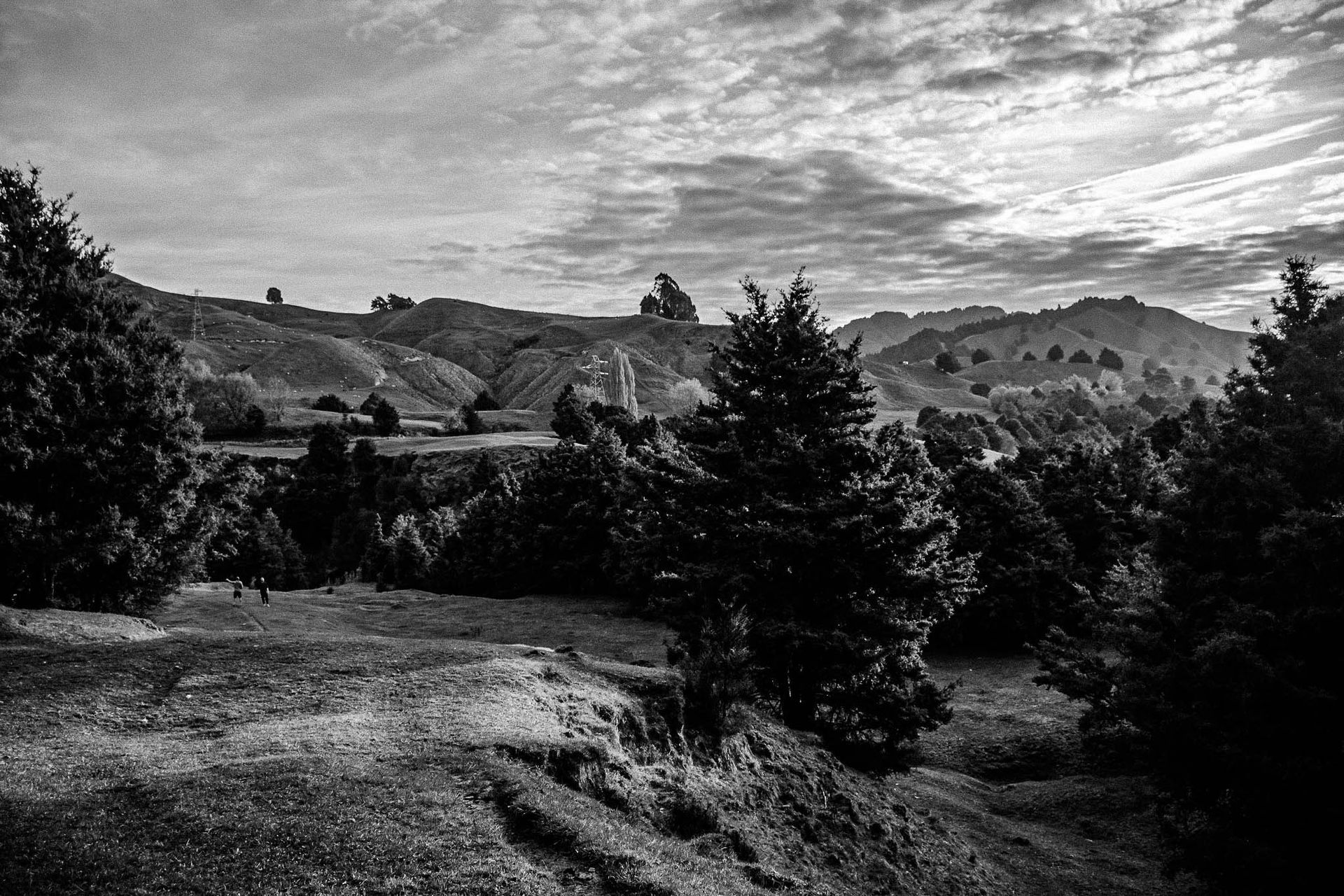 Naked In The Trees — A festival of curiosity in Taumarunui NZ