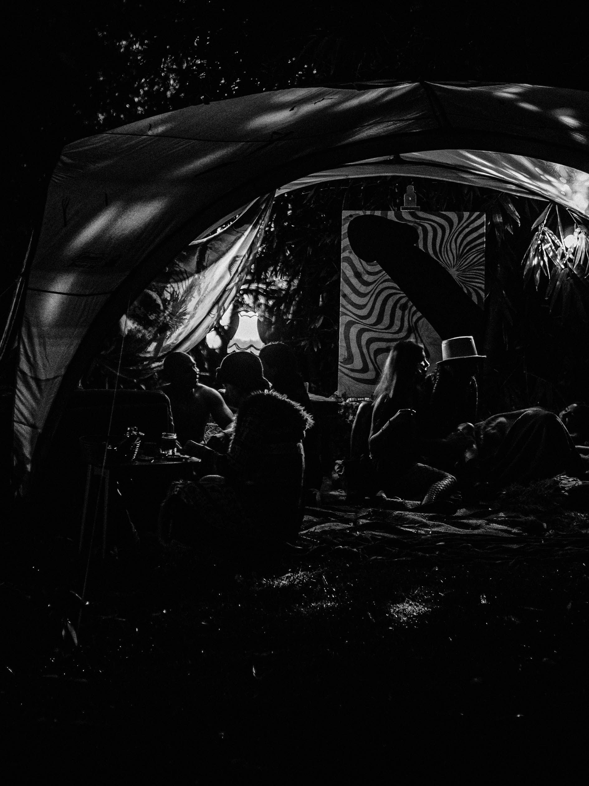 Naked In The Trees — A festival of curiosity in Taumarunui NZ