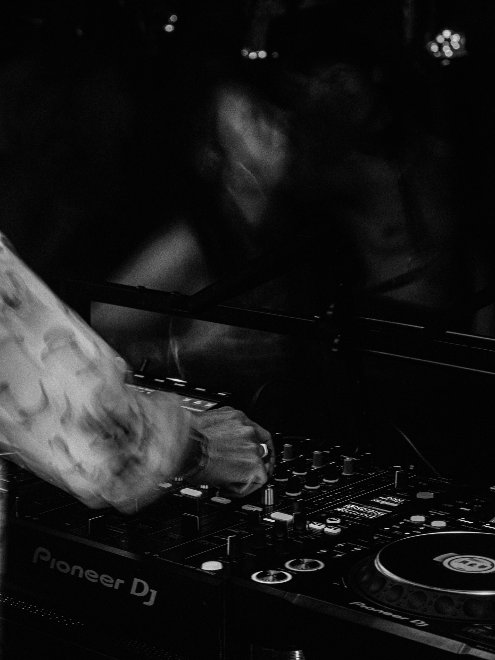 Naked In The Trees — A festival of curiosity in Taumarunui NZ