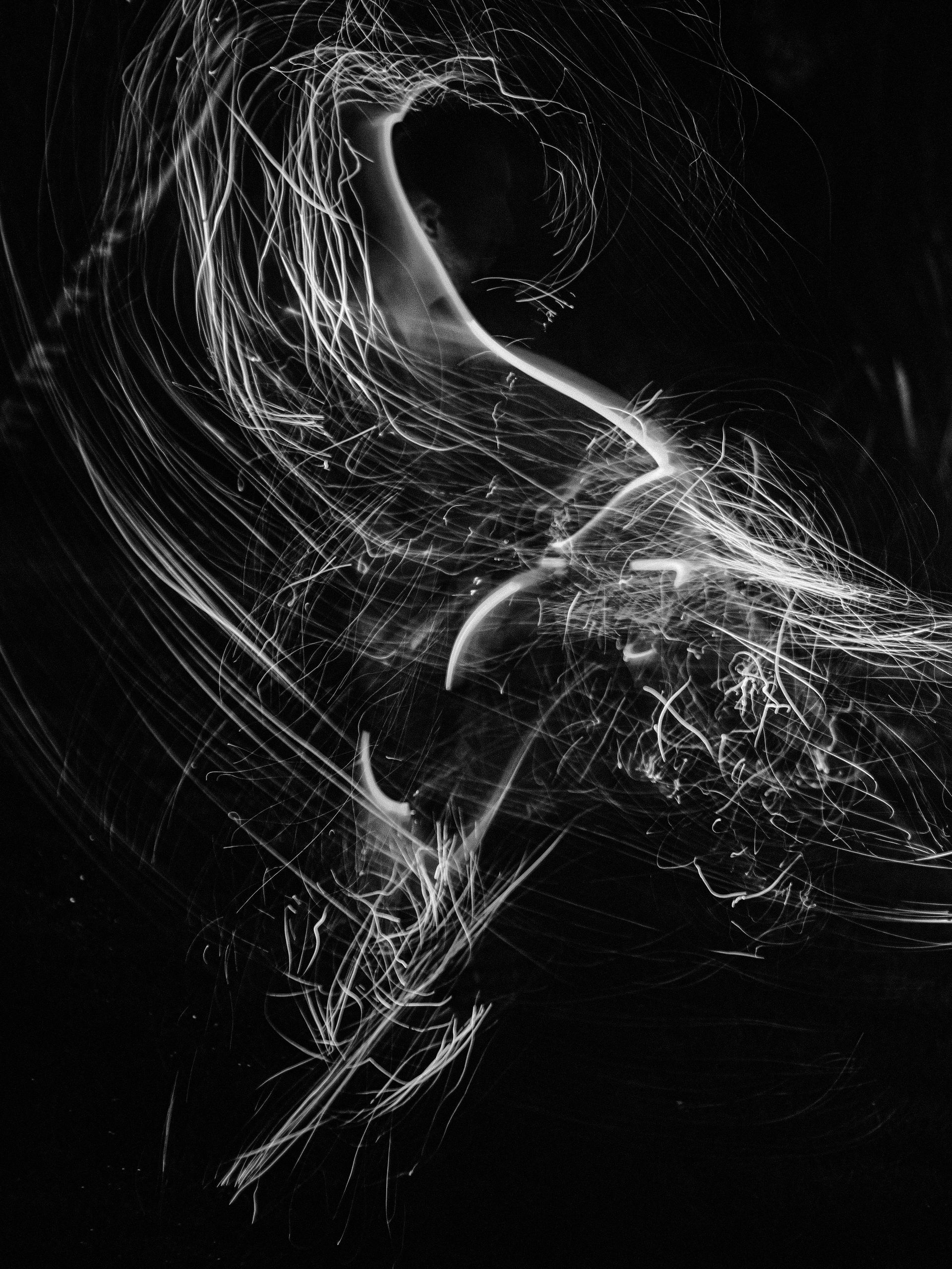 Naked In The Trees — A festival of curiosity in Taumarunui NZ