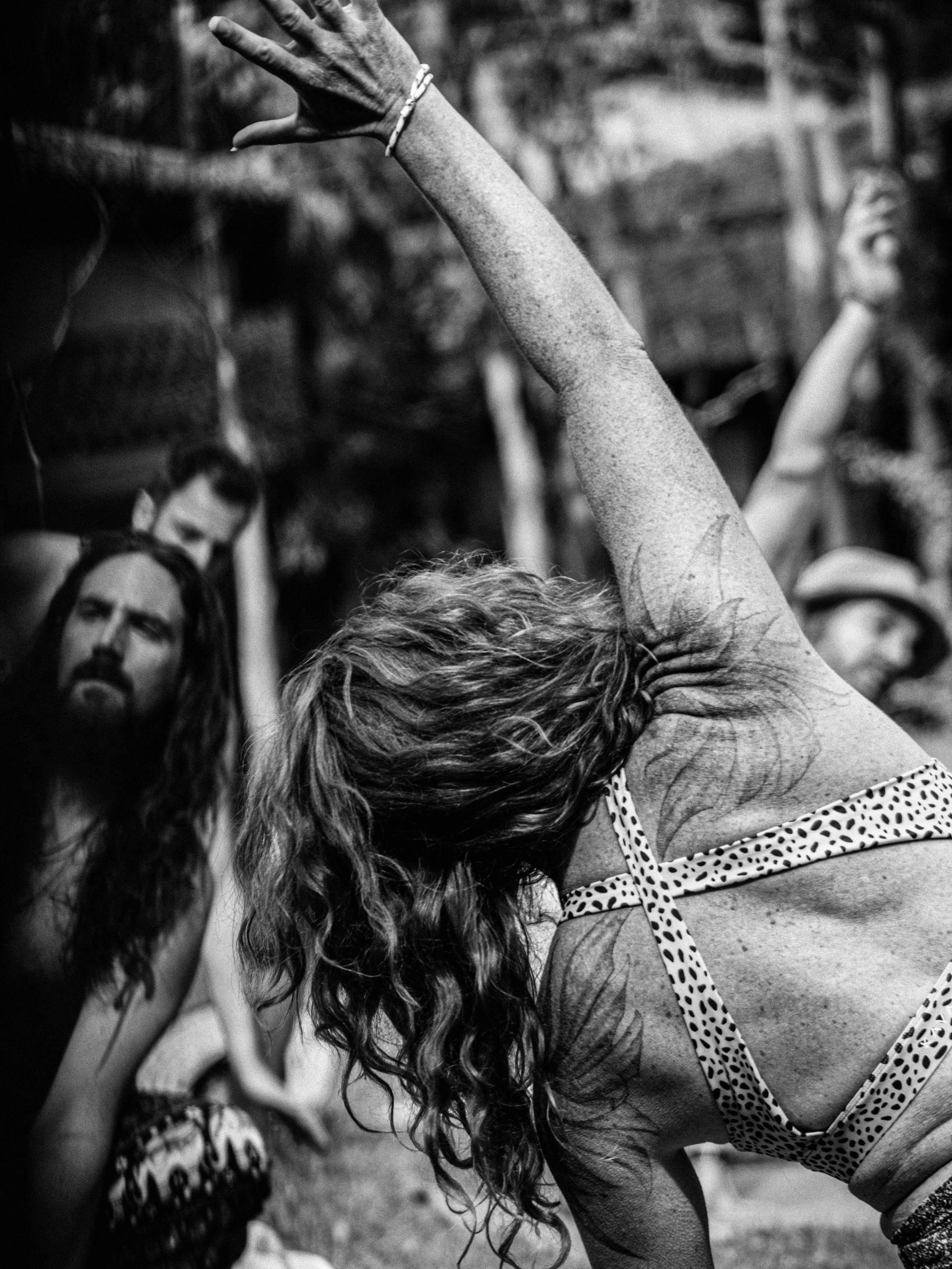 Naked In The Trees — A festival of curiosity in Taumarunui NZ