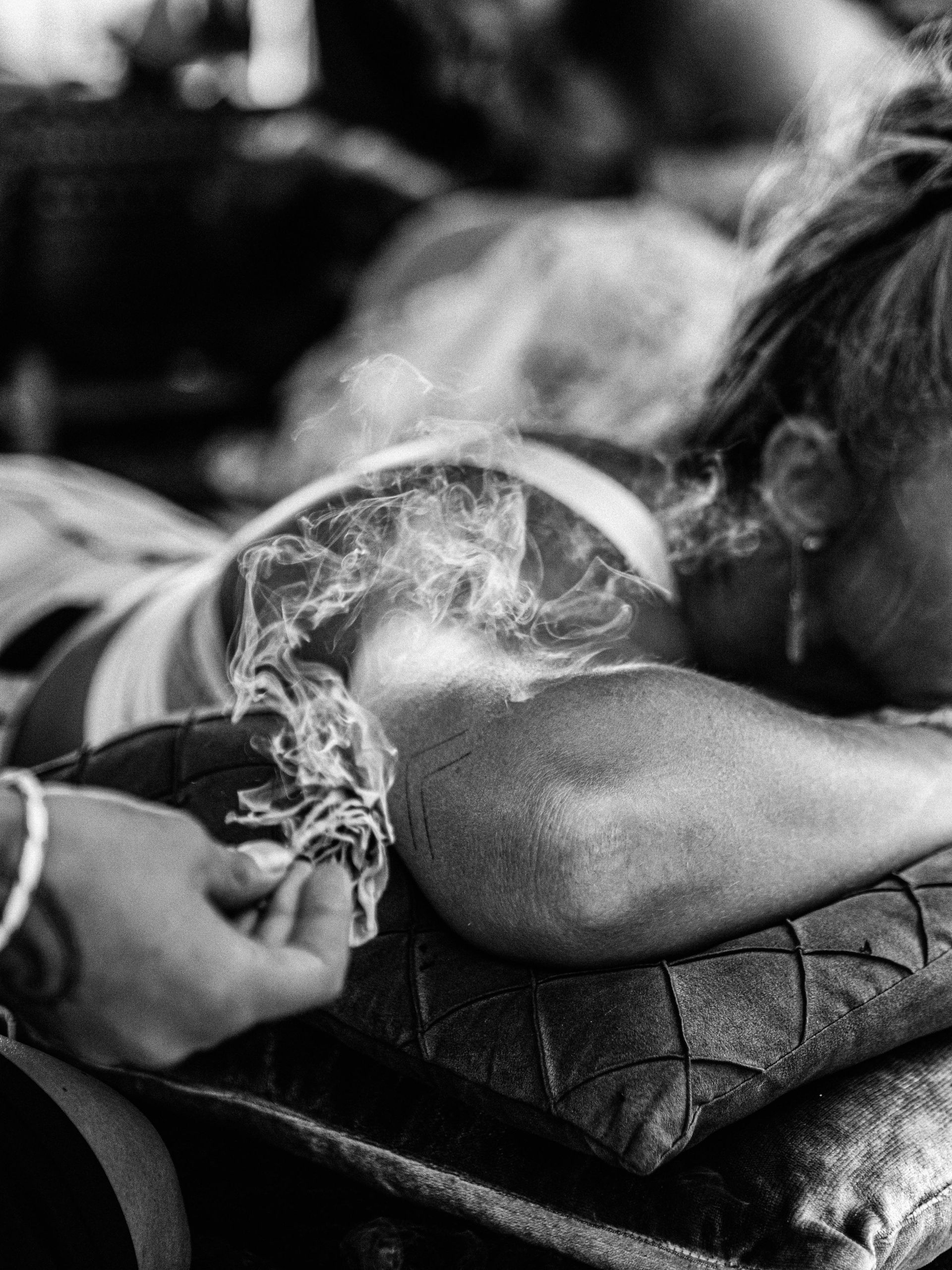 Naked In The Trees — A festival of curiosity in Taumarunui NZ