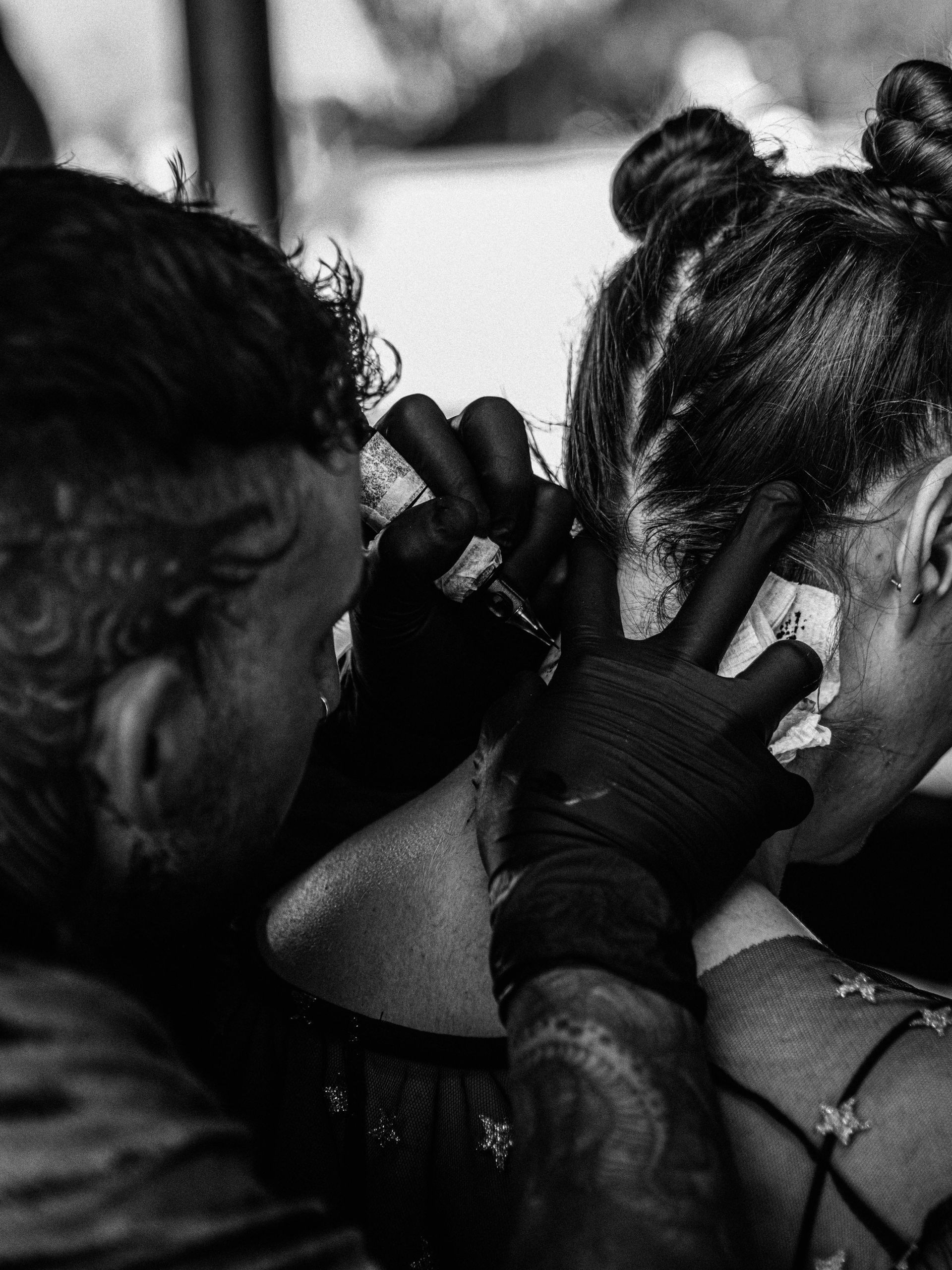 Naked In The Trees — A festival of curiosity in Taumarunui NZ