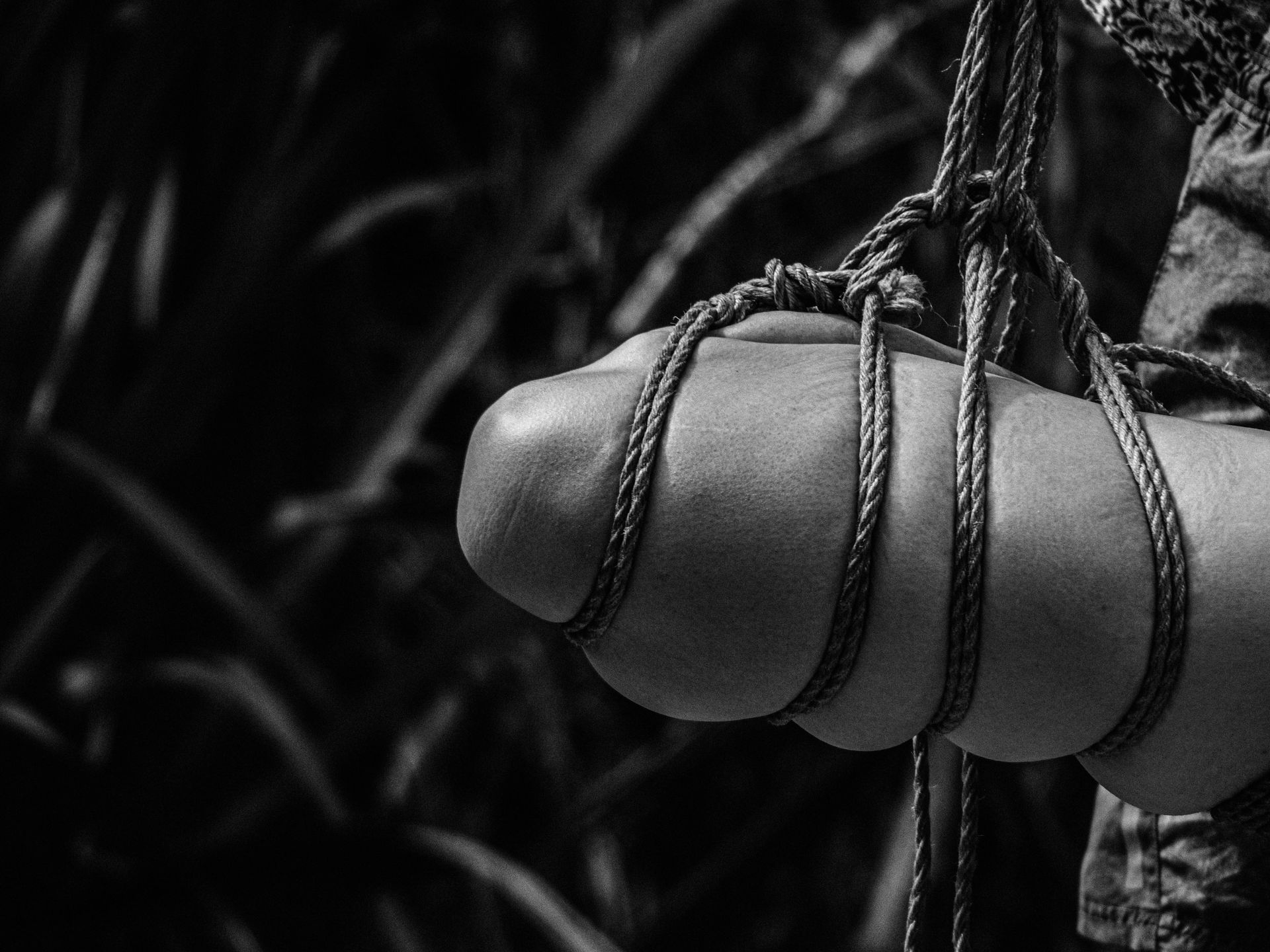 Naked In The Trees — A festival of curiosity in Taumarunui NZ