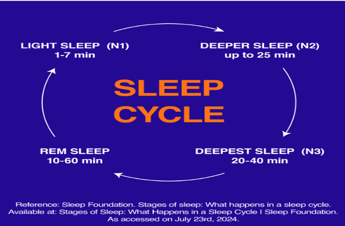 Sleep 101: Understanding Stages &amp; Cycles