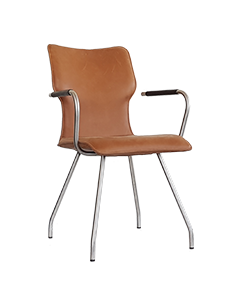 Chairs Dining chairs