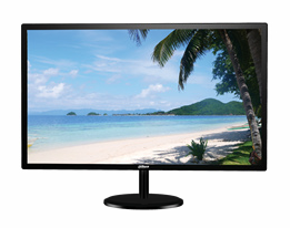 23” Widescreen 1080p Monitor