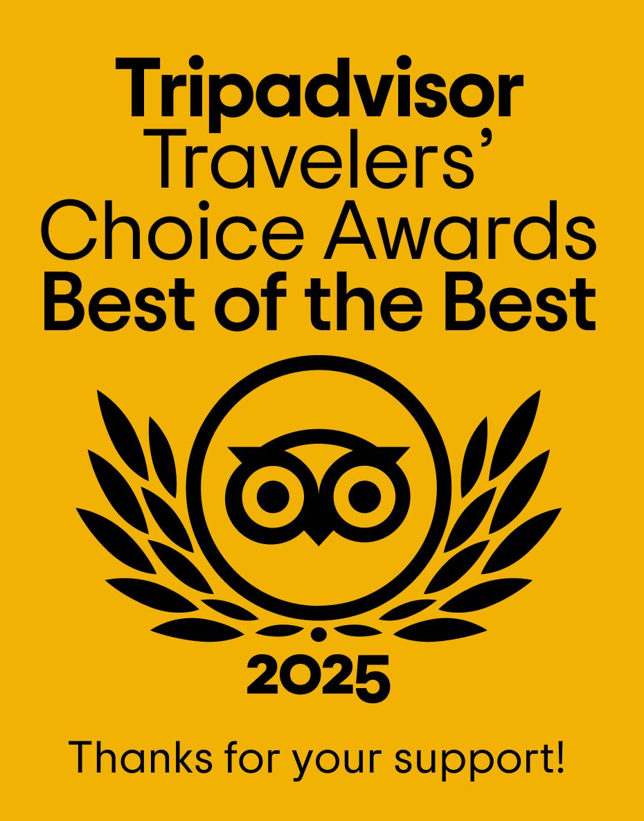 Tripadvisor travelers choice 2023 logo on a green background.
