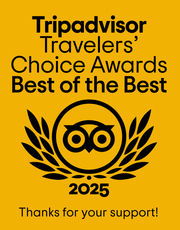 Tripadvisor travelers choice 2023 logo on a green background.