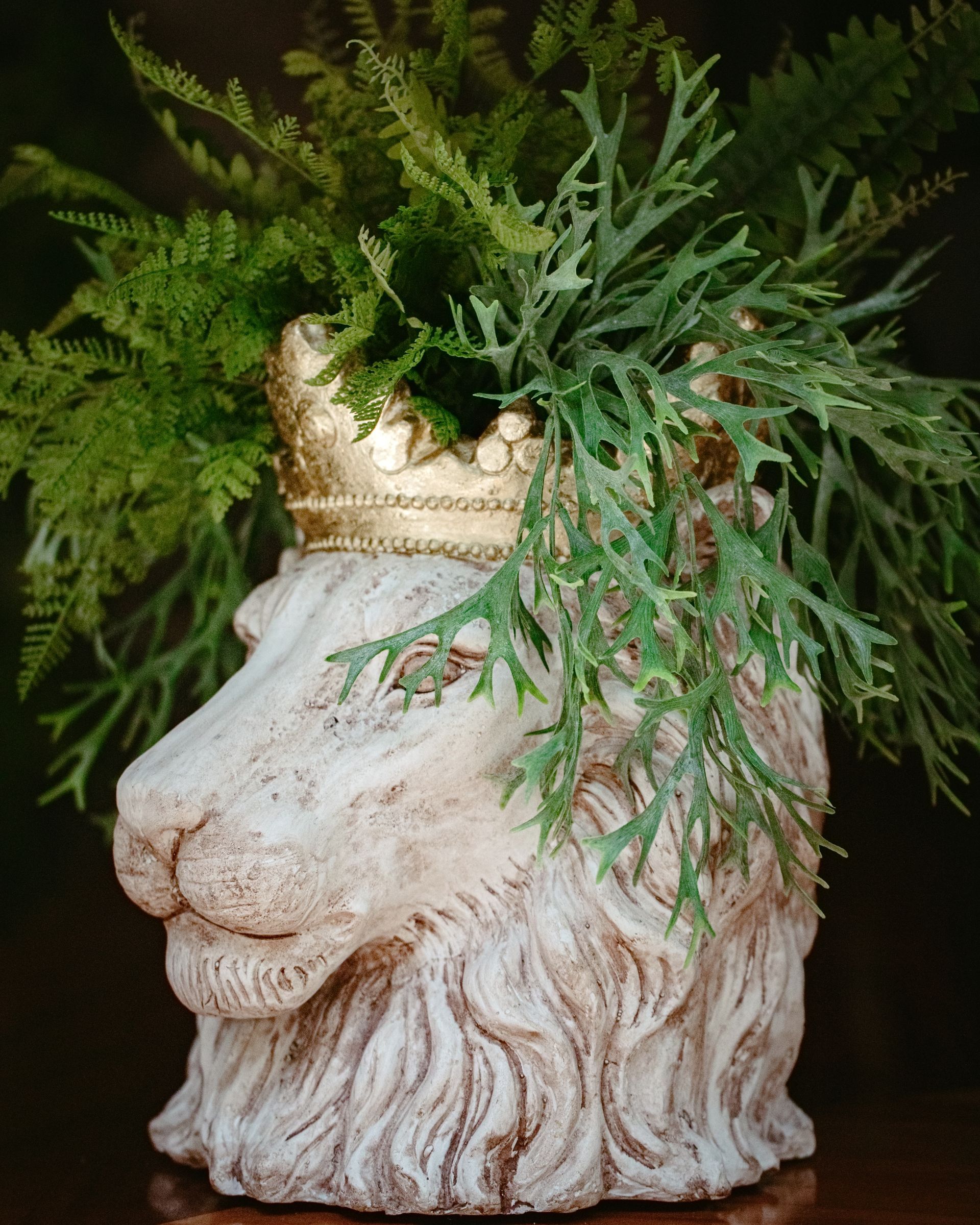 Decorative Lion head vase
