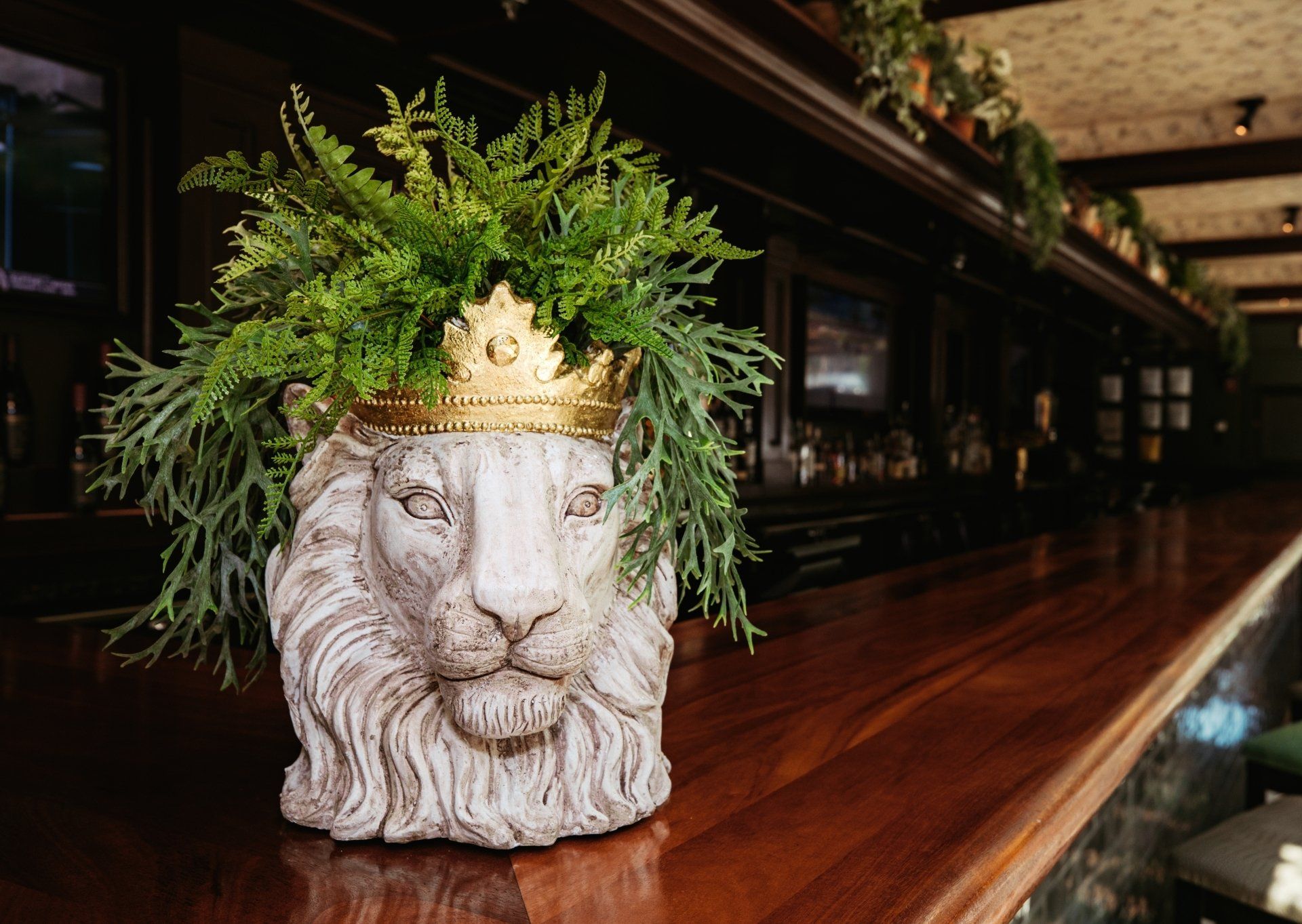 Lion Statue with plant at Joes Newbury