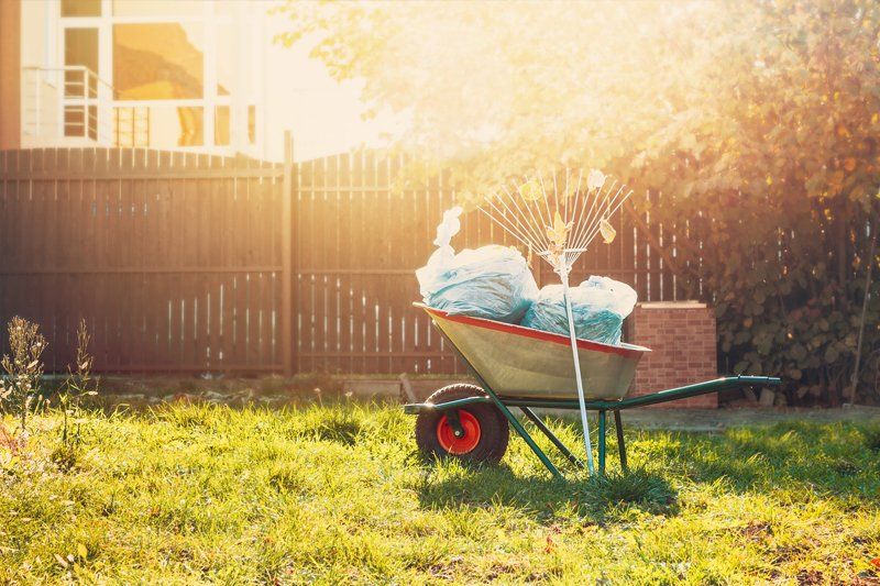 Land Clearing — Phoenix, AZ — Blue Horizon Excavating & Grading