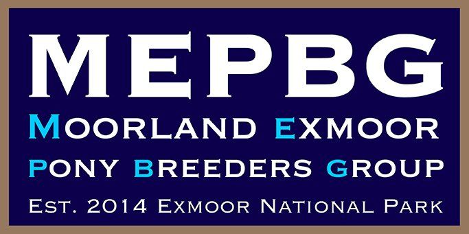 Moorland Exmoor Pony Breeders Group MEPBG