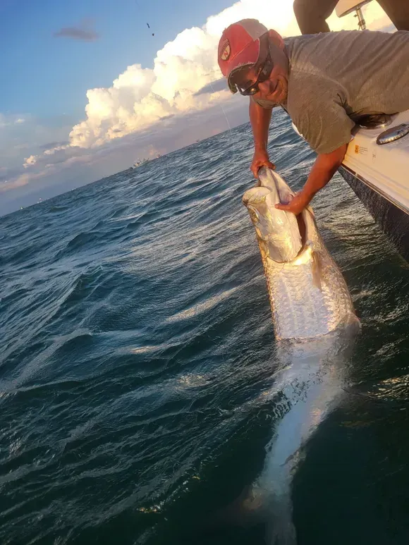 Man on boat holding large silver tarpon fish in water.