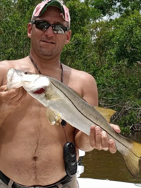 Man holding a silver fish with a dark spot, in front of green foliage. He wears sunglasses and a hat.