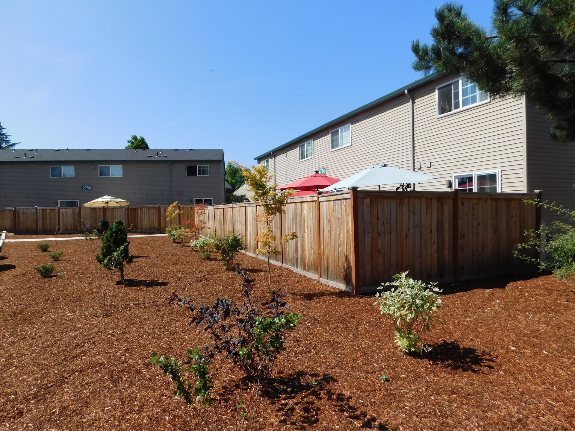Backyard with wood fence, trees, mulch, and two-story buildings under blue sky.