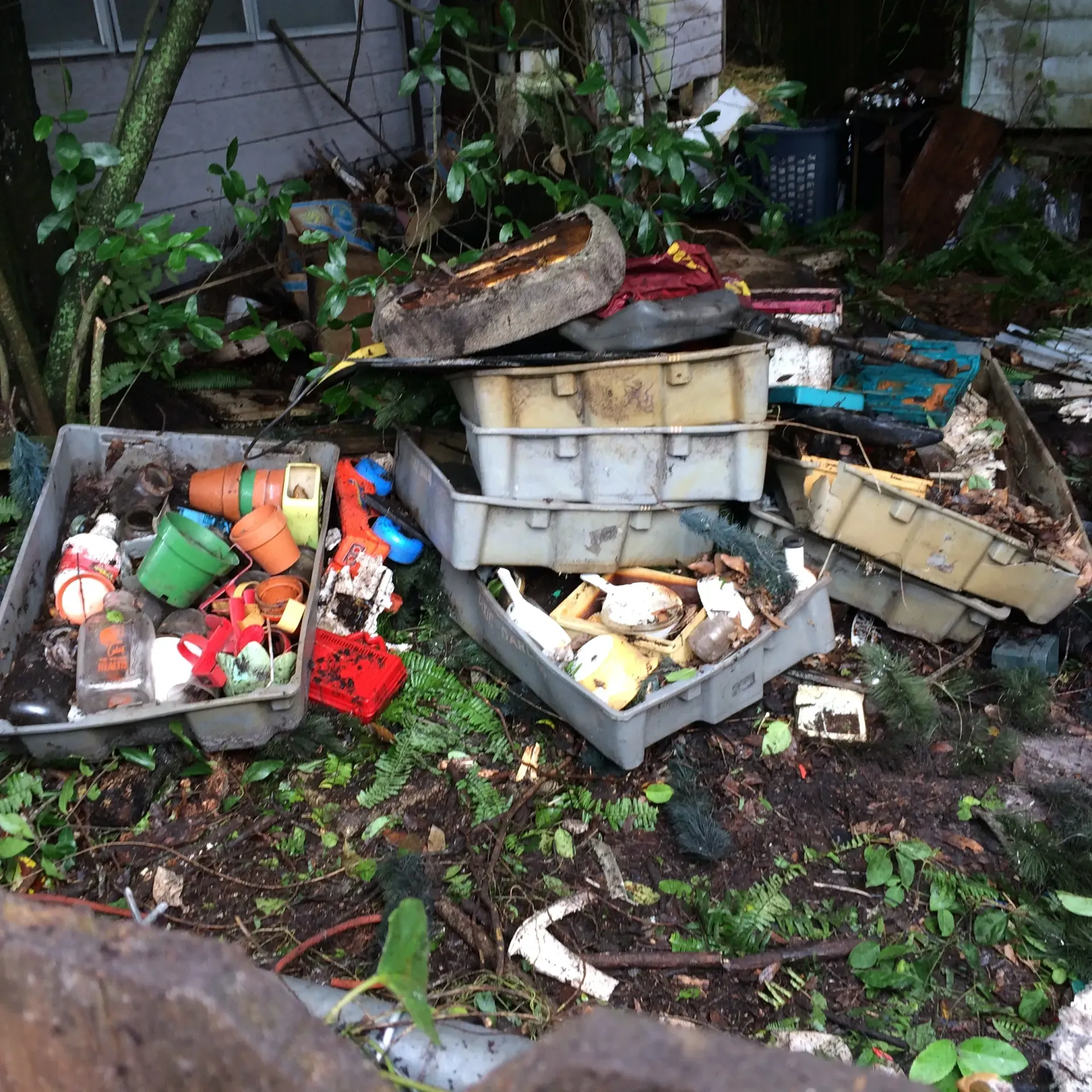 Two white display cabinets with glass shelves, near a chandelier and table.