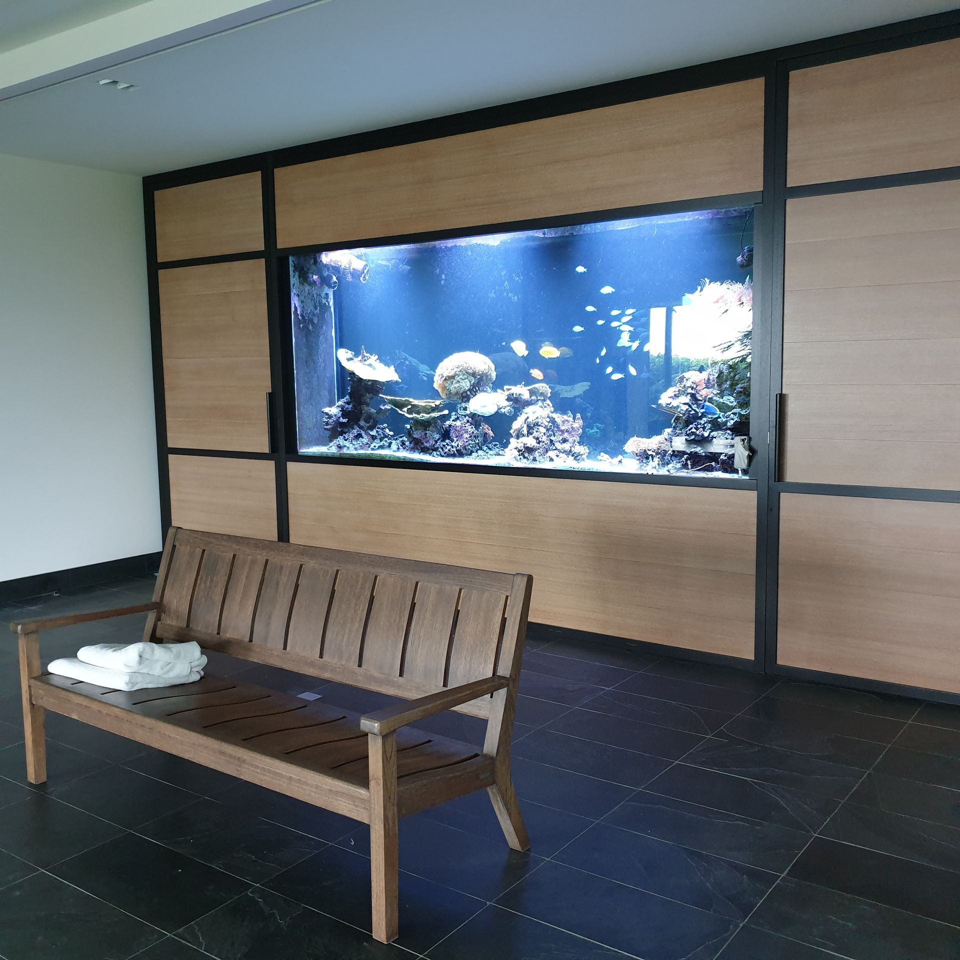 Un banc en bois se trouve devant un grand aquarium encastré dans un mur. Le sol de la pièce est carrelé de noir et les murs sont lambrissés.