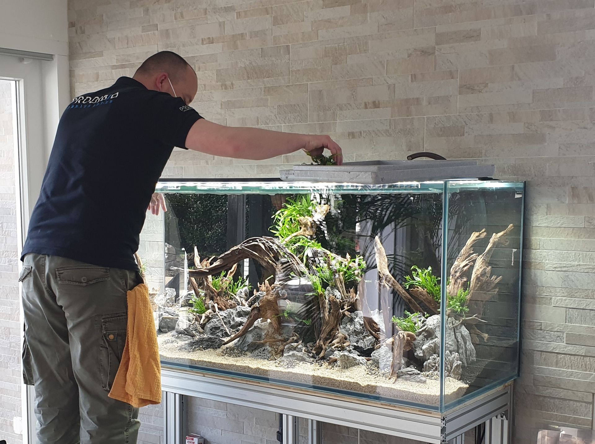 Un homme s'occupe d'un aquarium contenant des plantes et du bois, adossé à un mur de briques.