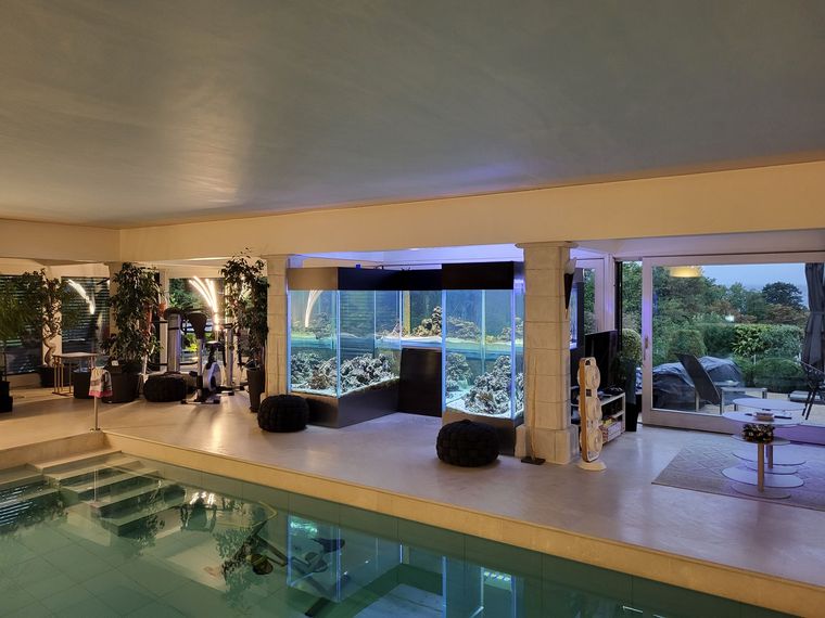 Piscine intérieure avec un grand aquarium. Plantes, appareils de fitness et terrasse extérieure visibles.
