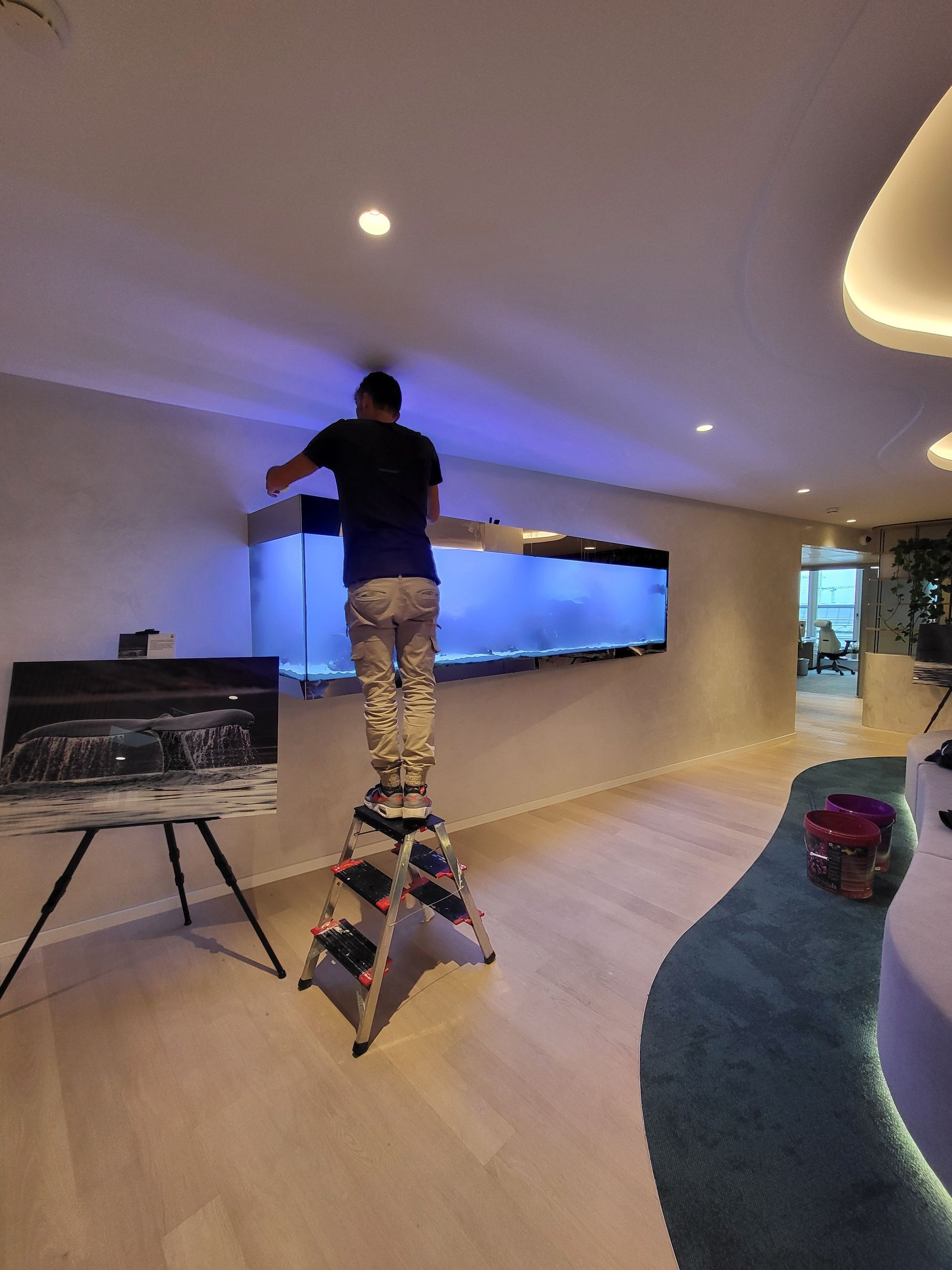 Une personne sur un escabeau ajuste un aquarium fixé au mur dans une pièce au parquet clair et à l'éclairage bleu et blanc.