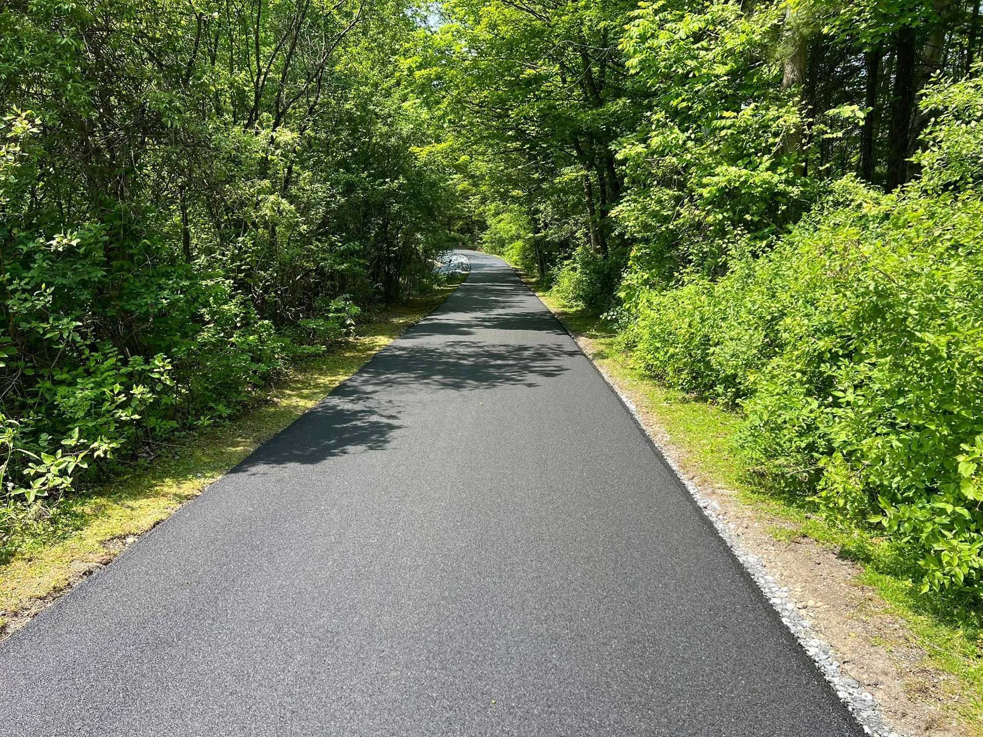 Asphalt path through lush green trees and foliage on a sunny day.