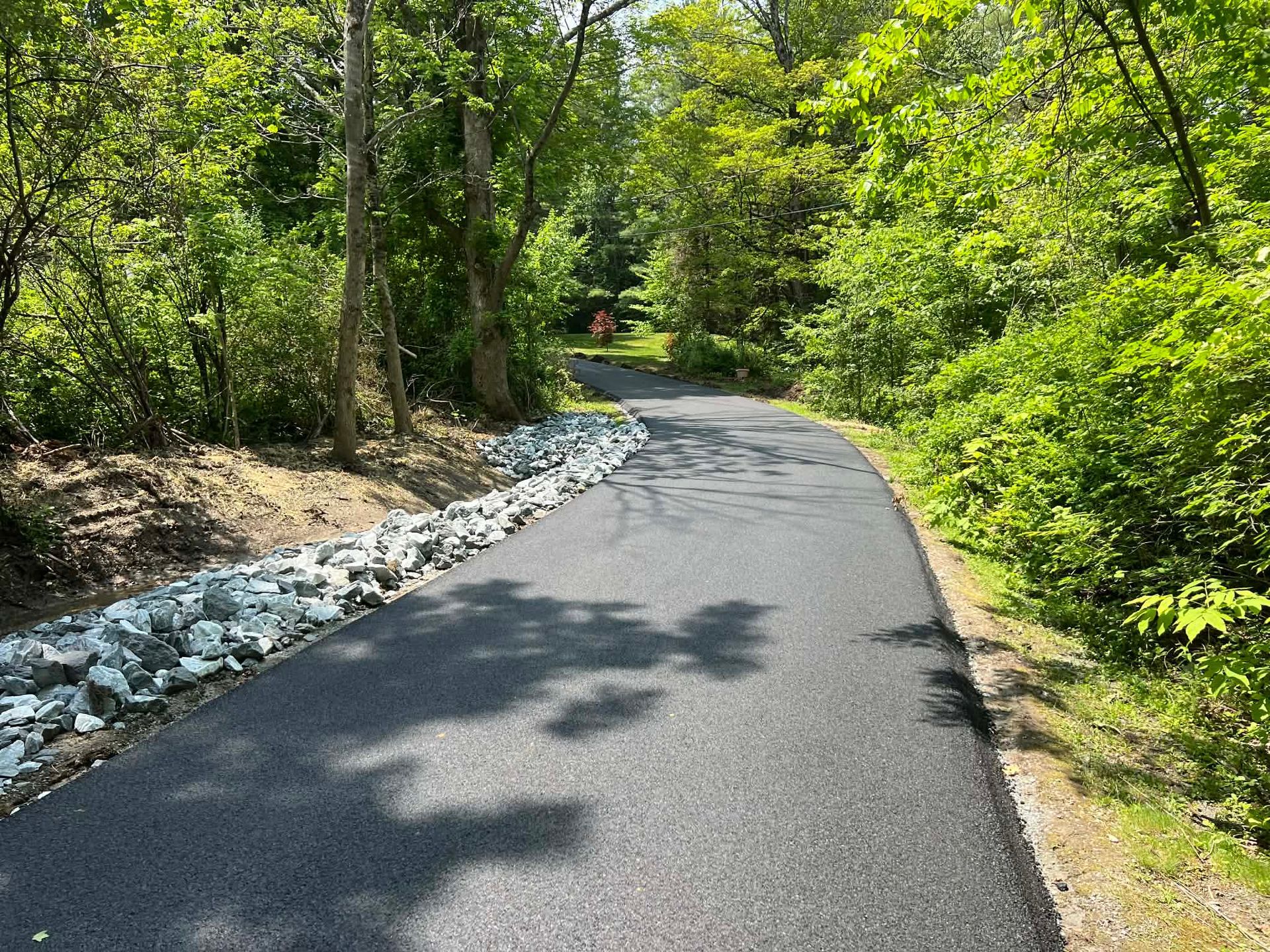 Paved path through a green forest, lined with rocks on one side.