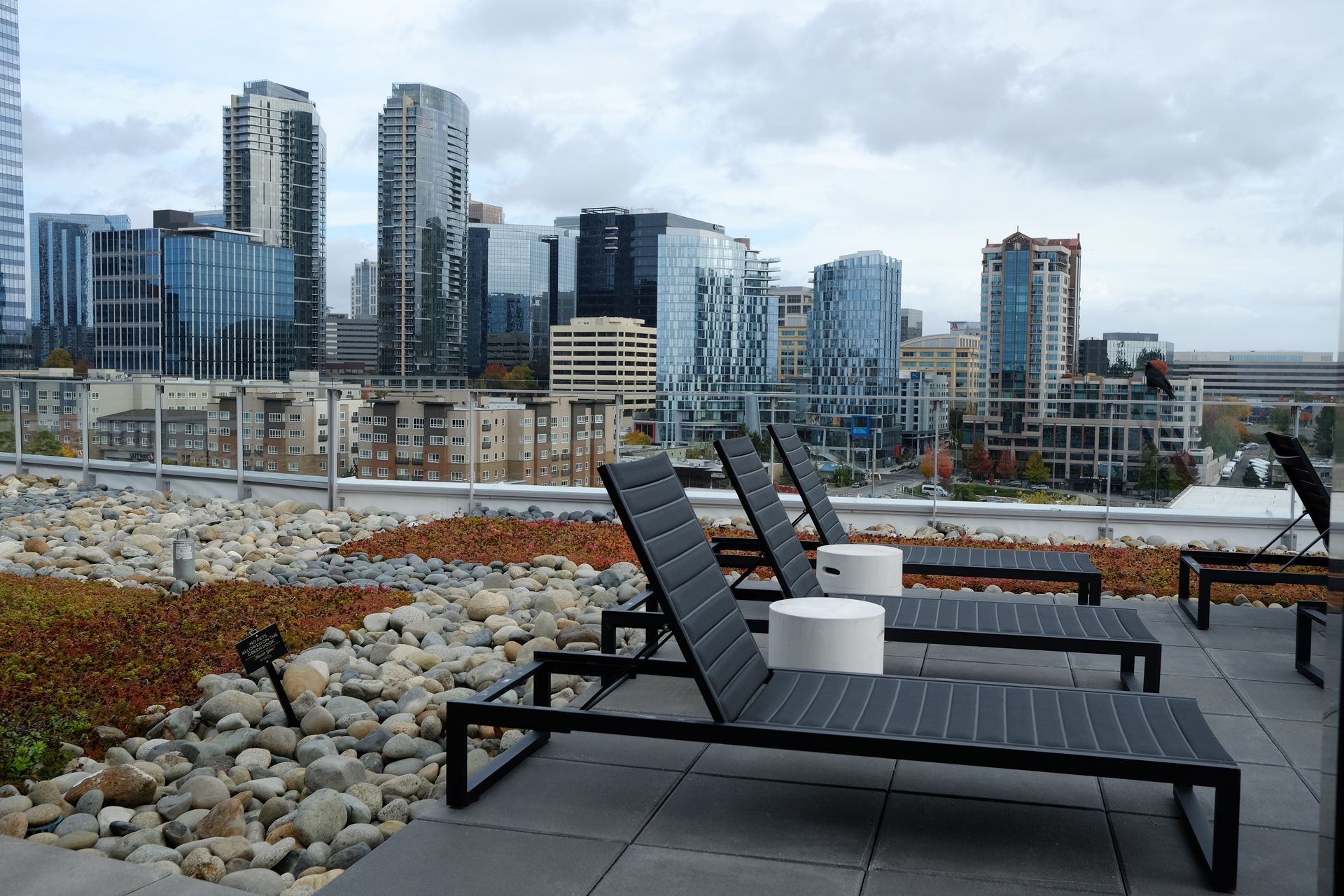 Photo of the reclining chairs on the rooftop lounge