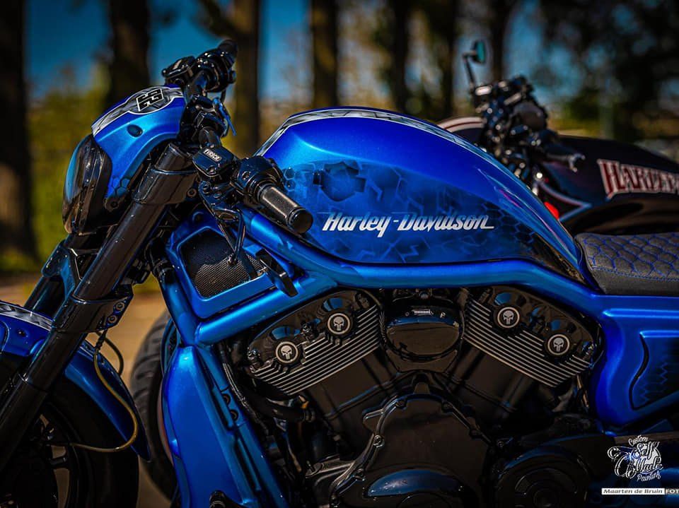 Een blauwe harley davidson-motorfiets staat geparkeerd in het bos.