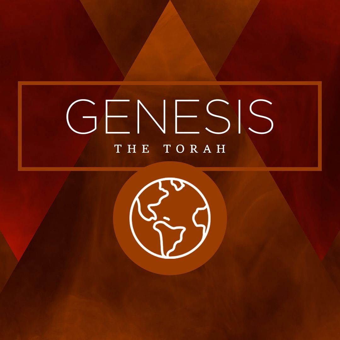 Opens YouTube playlist in new window.