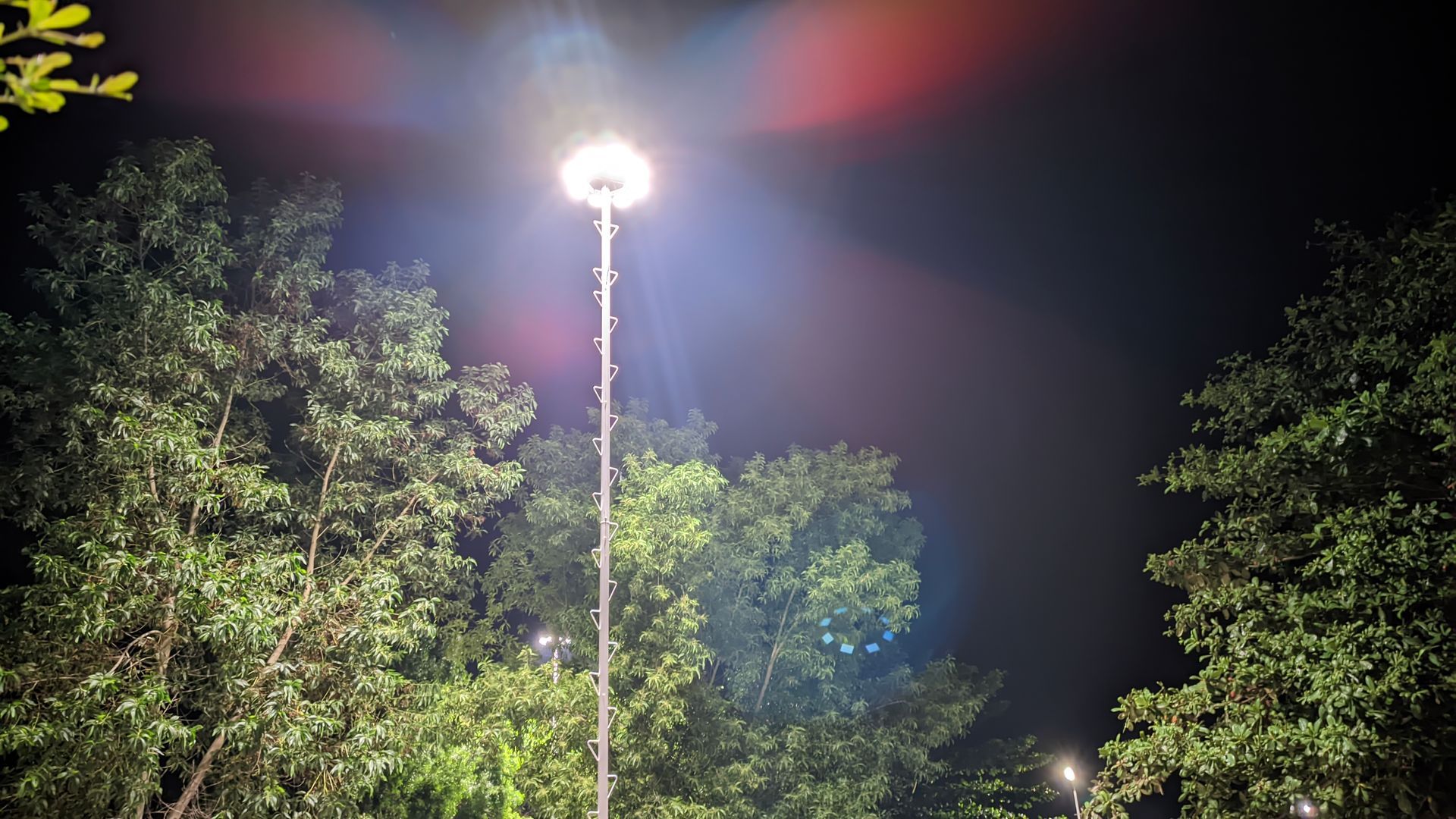 A stadium light is shining through the trees at night.