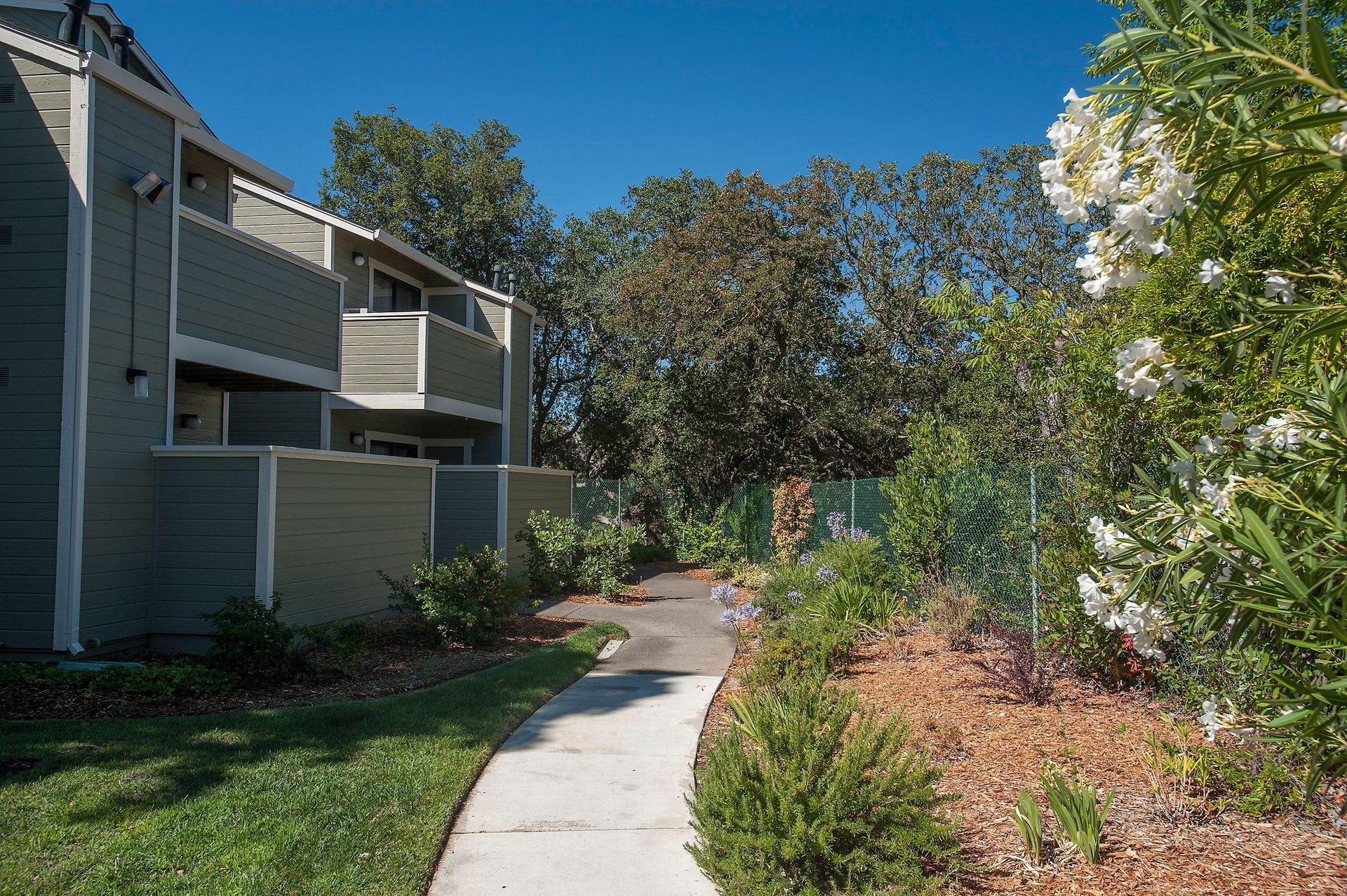 Apartment building exterior with a sidewalk, landscaping, and blue sky.