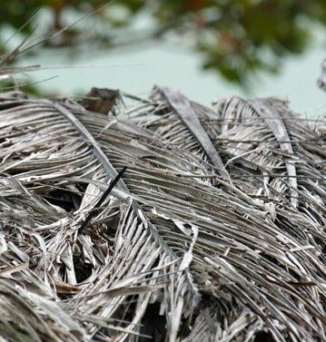 A pile of dried palm leaves with a bird in the background