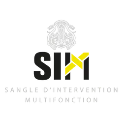 Un logo pour une entreprise appelée six angle d'intervention multifonction