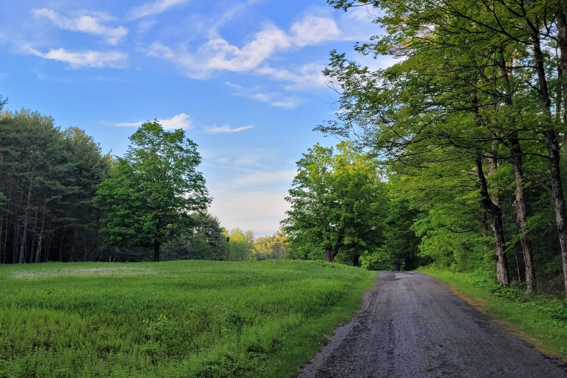 A dirt road winds past a grassy meadow bordered by lush green trees under a bright blue sky with light clouds.