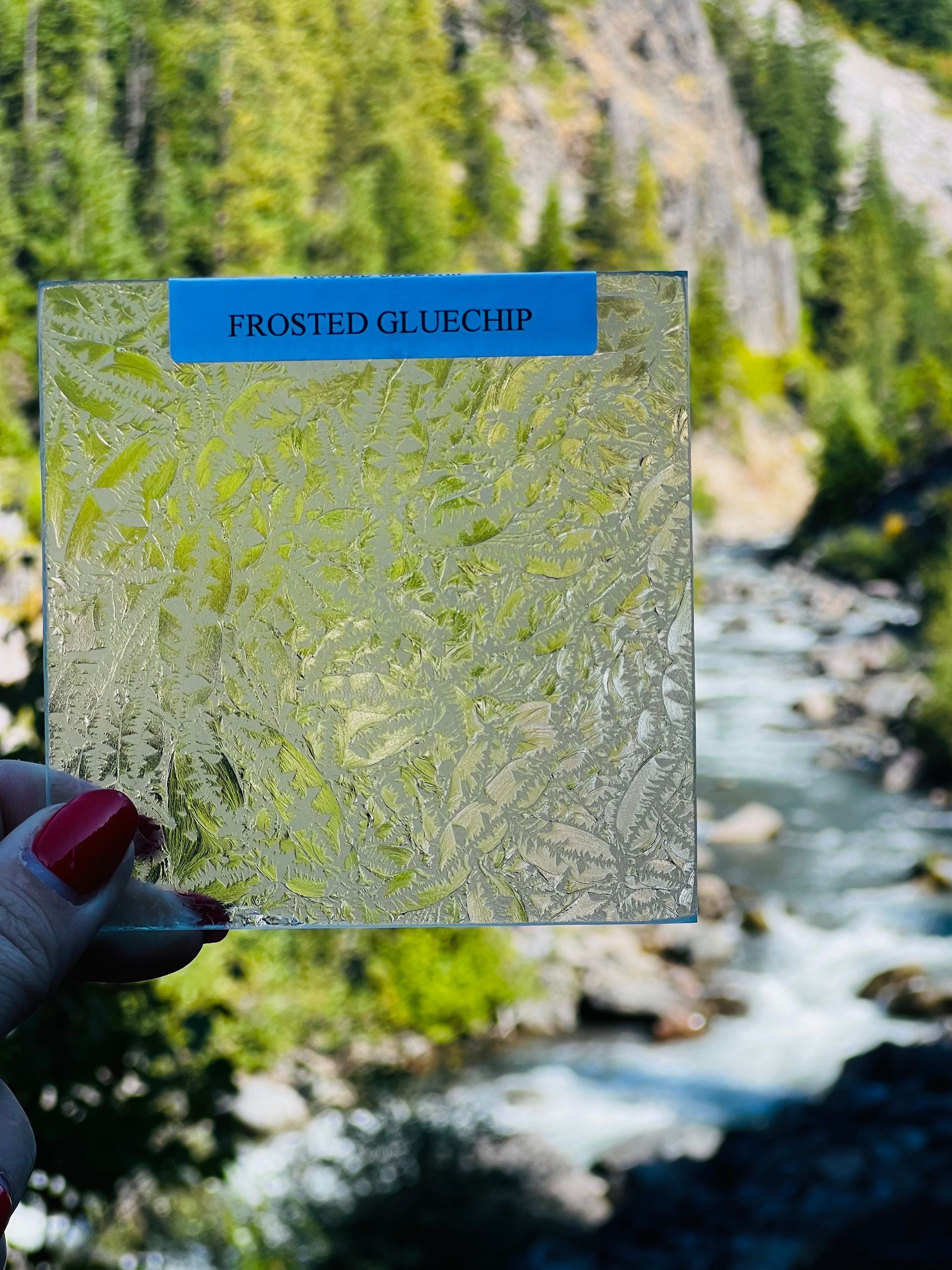 A person is holding a piece of glass in front of a river.