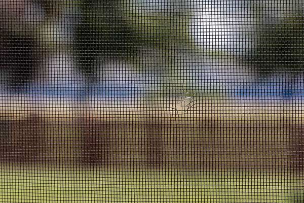 A close up of a screen door with a blurry picture of a field behind it.