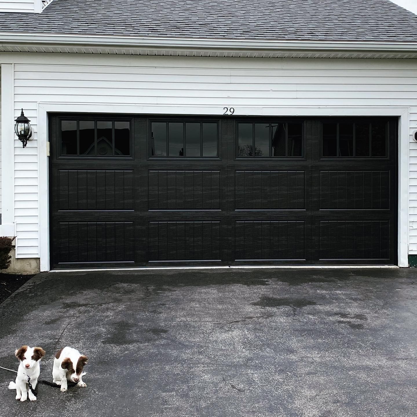 Black garage door with windows. Two small dogs on driveway in front.