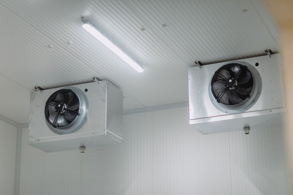 Two Fans Are Hanging From the Ceiling of a Room — Cool Tropics Air Conditioning & Refrigeration in Tully, QLD