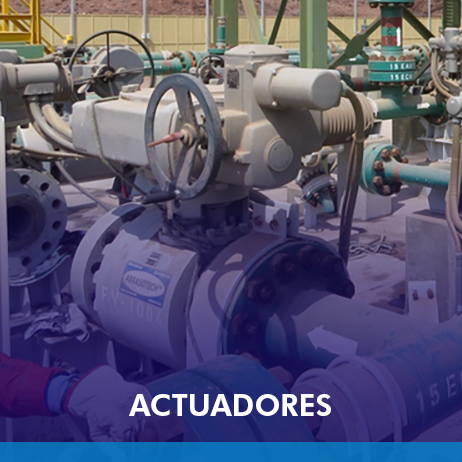 Conjunto válvula cero fuga ValvTechonologies con actuador Auma