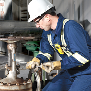 Detectores de gas BW Honeywell CLIP