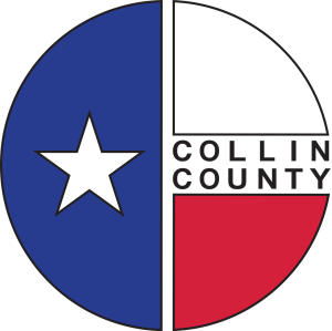 Texas Process Server Directory