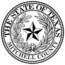 Texas Process Server Directory