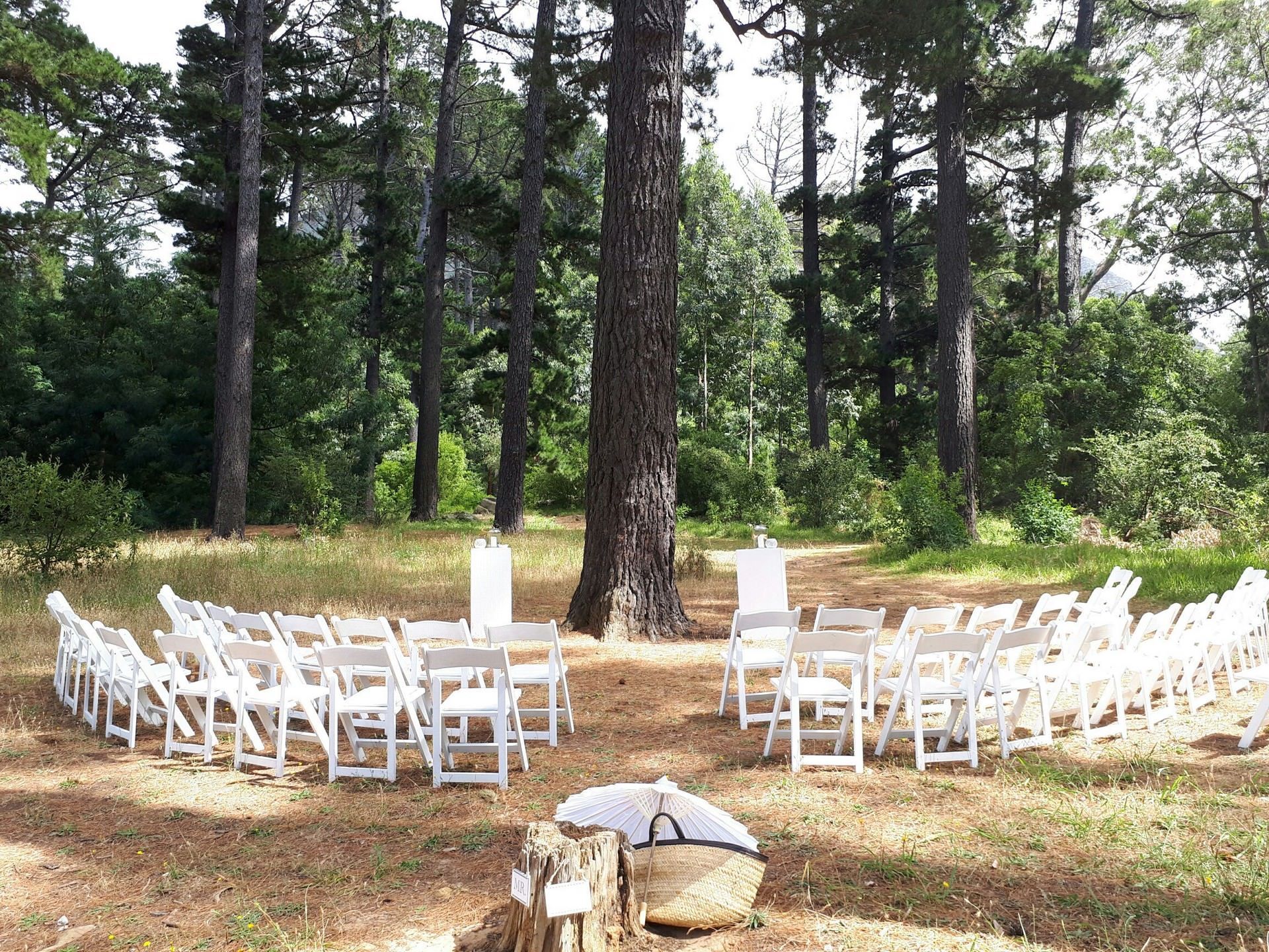 A row of white chairs are lined up in a circle in the middle of a forest.