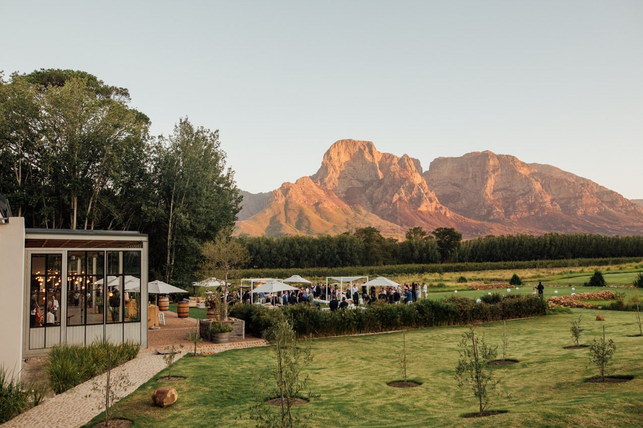 A group of people are standing in a field with a mountain in the background.