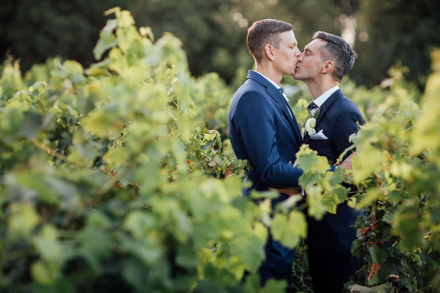 Two men are kissing in a vineyard surrounded by vines.