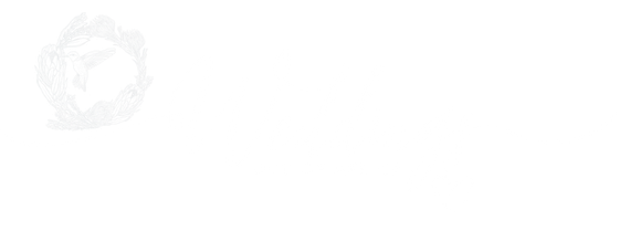 A white background with a few lines on it