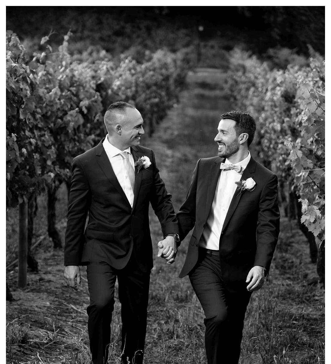 Two men in suits are walking through a vineyard holding hands.
